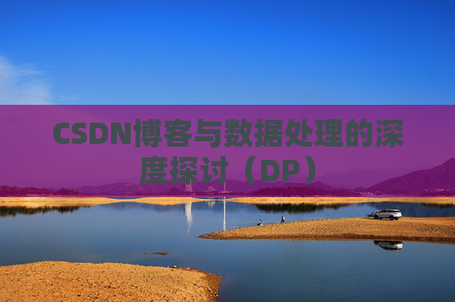 CSDN博客与数据处理的深度探讨（DP）