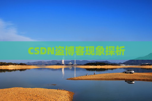 CSDN盗博客现象探析